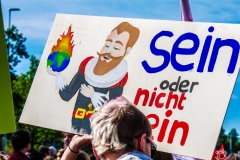 Fridays for Future Demonstration in Darmstadt Poster