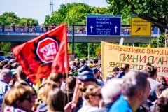 Fridays for Future Demonstration in Darmstadt