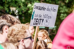 Fridays for Future Demonstration in Darmstadt Poster