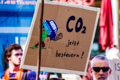 Fridays for Future Demonstration in Darmstadt Poster