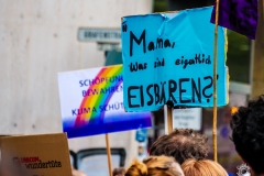 Fridays for Future Demonstration in Darmstadt Poster