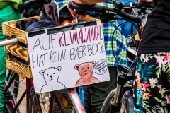 Fridays for Future Demonstration in Darmstadt Poster